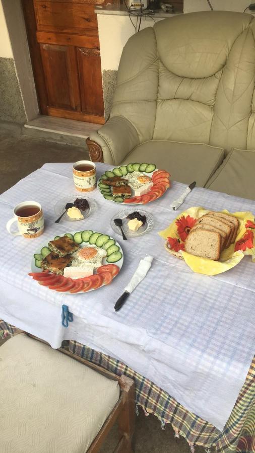 Flora'S Guesthouse 'The Fir Gate' Gjirokastër 외부 사진